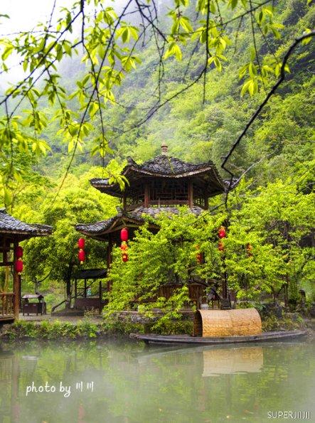 发现冷知识的这个像猫咬的吗?平台 - 分享惊喜的知识宝库